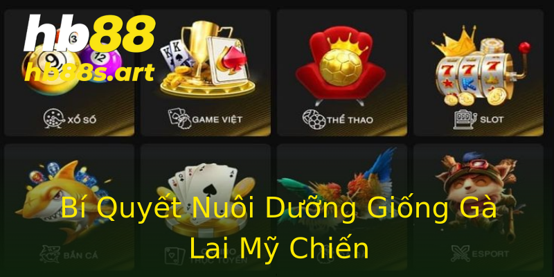 Bí Quyết Nuôi Dưỡng Giống Gà Lai Mỹ Chiến Bí Quyết Nuôi Dưỡng Giống Gà Lai Mỹ Chiến