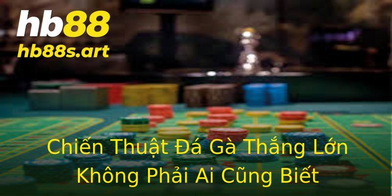 Chiến Thuật Đá Gà Thắng Lớn Không Phải Ai Cũng Biết Chiến Thuật Đá Gà Thắng Lớn Không Phải Ai Cũng Biết