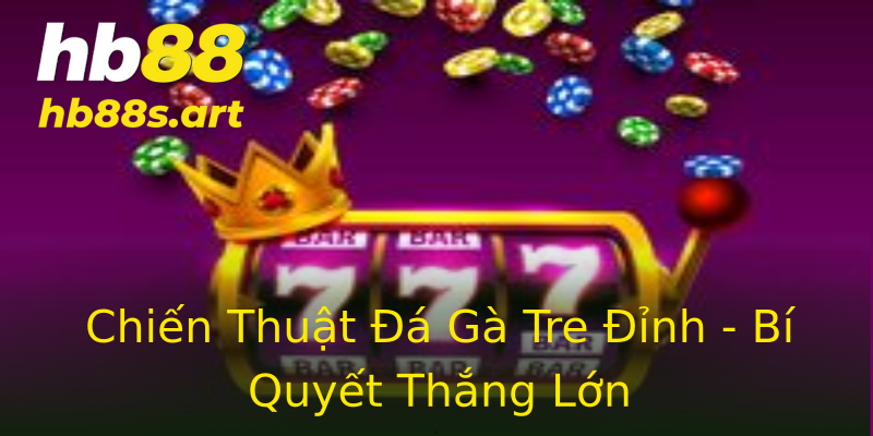 Chiến Thuật Đá Gà Tre Đỉnh - Bí Quyết Thắng Lớn Chiến Thuật Đá Gà Tre Đỉnh - Bí Quyết Thắng Lớn