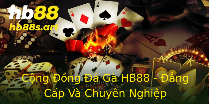 Cộng Đồng Đá Gà HB88 - Đẳng Cấp Và Chuyên Nghiệp Cộng Đồng Đá Gà HB88 - Đẳng Cấp Và Chuyên Nghiệp