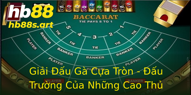 Giải Đấu Gà Cựa Tròn - Đấu Trường Của Những Cao Thủ Giải Đấu Gà Cựa Tròn - Đấu Trường Của Những Cao Thủ