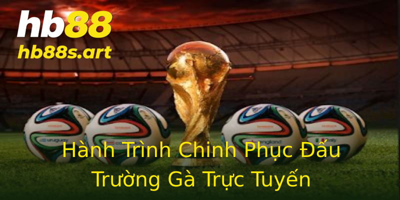 Hành Trình Chinh Phục Đấu Trường Gà Trực Tuyến Hành Trình Chinh Phục Đấu Trường Gà Trực Tuyến