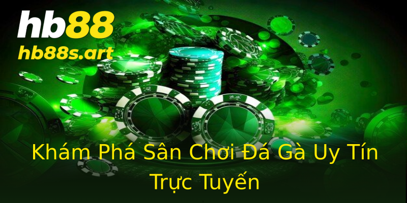 Khám Phá Sân Chơi Đá Gà Uy Tín Trực Tuyến Khám Phá Sân Chơi Đá Gà Uy Tín Trực Tuyến