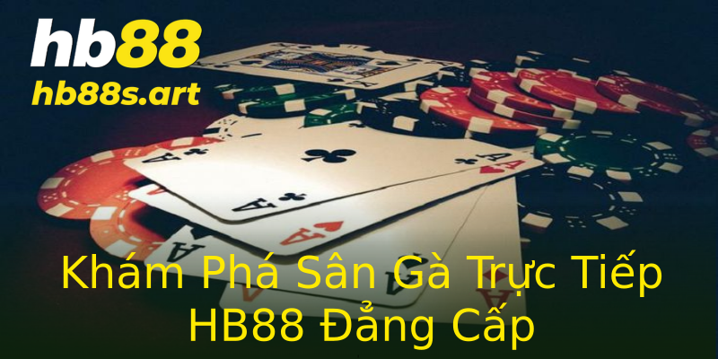 Khám Phá Sân Gà Trực Tiếp HB88 Đẳng Cấp Khám Phá Sân Gà Trực Tiếp HB88 Đẳng Cấp