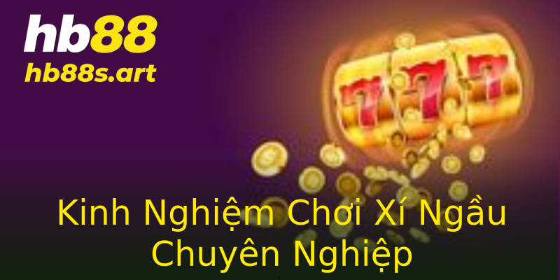 Kinh Nghiệm Chơi Xí Ngầu Chuyên Nghiệp Kinh Nghiệm Chơi Xí Ngầu Chuyên Nghiệp
