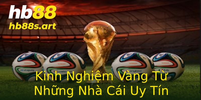 Kinh Nghiệm Vàng Từ Những Nhà Cái Uy Tín Kinh Nghiệm Vàng Từ Những Nhà Cái Uy Tín