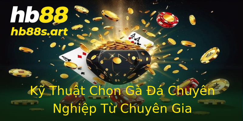 Kỹ Thuật Chọn Gà Đá Chuyên Nghiệp Từ Chuyên Gia Kỹ Thuật Chọn Gà Đá Chuyên Nghiệp Từ Chuyên Gia