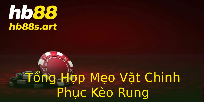 Tổng Hợp Mẹo Vặt Chinh Phục Kèo Rung Tổng Hợp Mẹo Vặt Chinh Phục Kèo Rung
