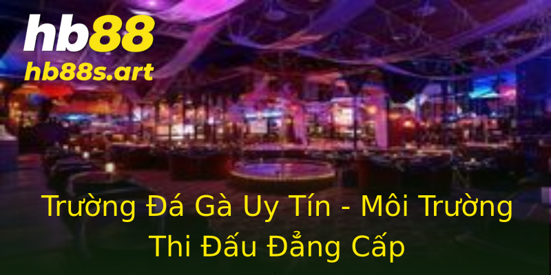 Trường Đá Gà Uy Tín - Môi Trường Thi Đấu Đẳng Cấp Trường Đá Gà Uy Tín - Môi Trường Thi Đấu Đẳng Cấp